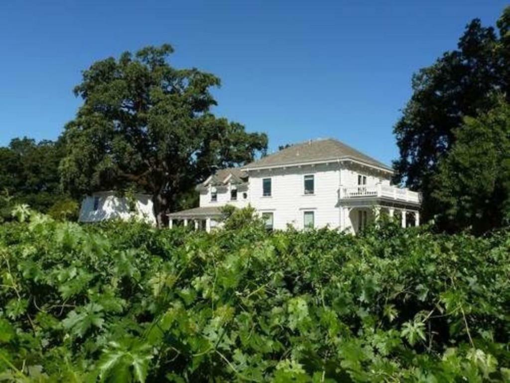 Inn At Salvestrin St. Helena Exterior photo